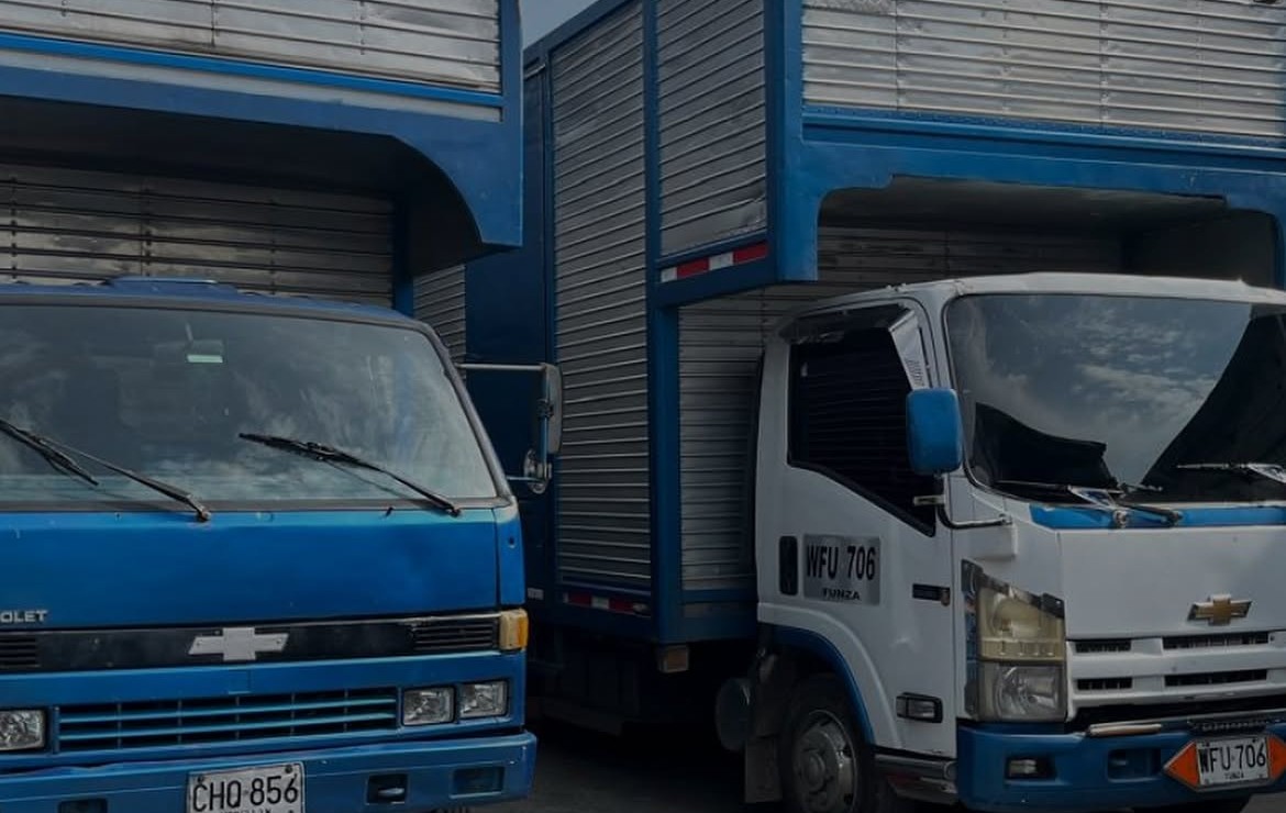 Traslados empresariales, flota Logientregas DL